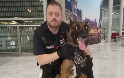 Sécurisation et gardiennage de sites